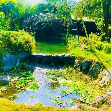 Ruisui Palm Lakes B&B Ngoại thất bức ảnh