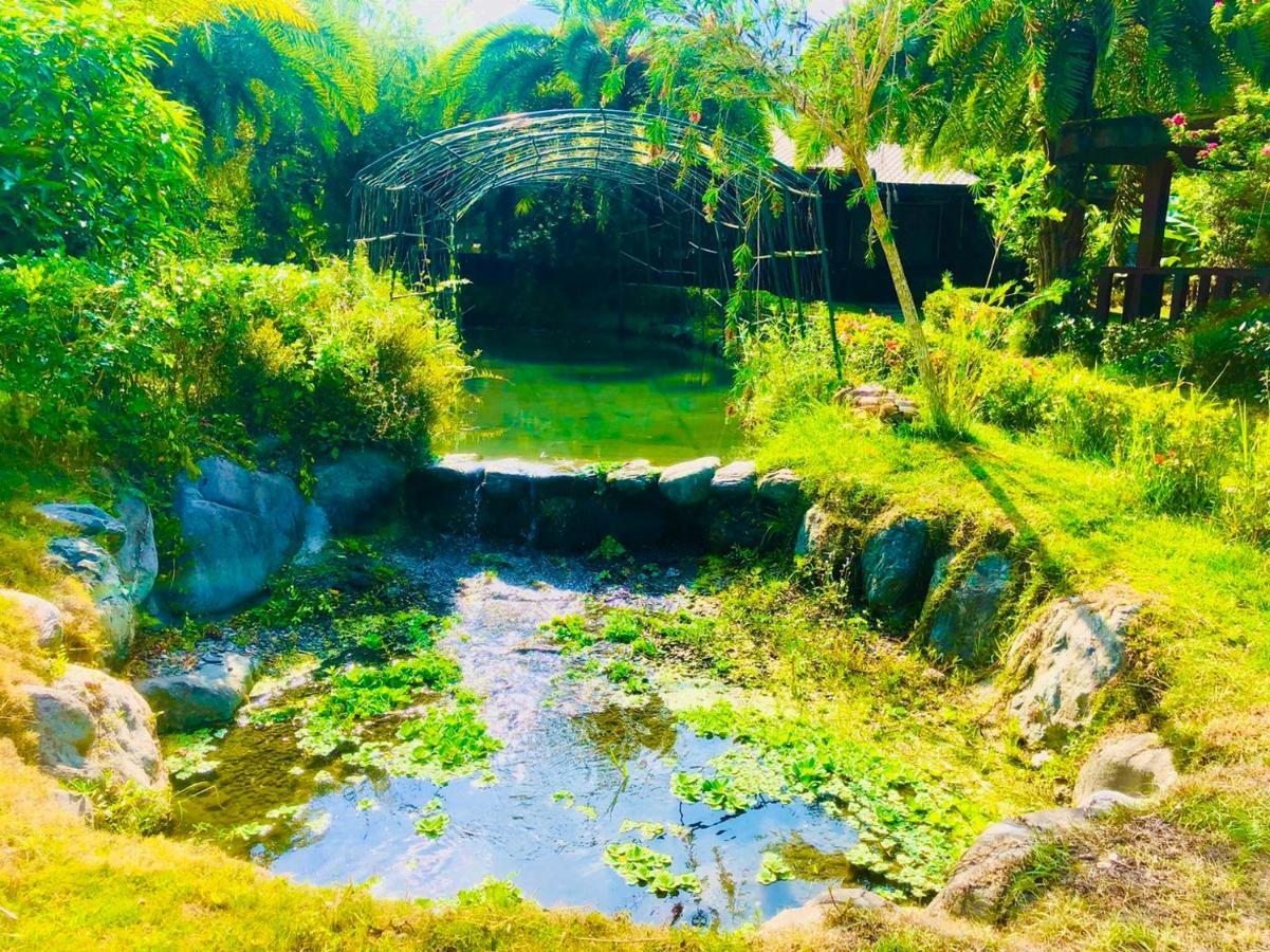 Ruisui Palm Lakes B&B Ngoại thất bức ảnh