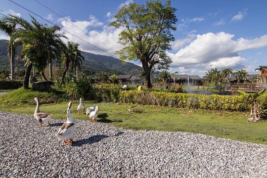 Ruisui Palm Lakes B&B Ngoại thất bức ảnh